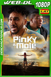 Pinky y Mole (2020) 1080p WEB-DL Latino