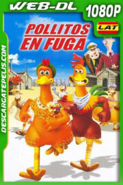 Pollitos en fuga (2000) 1080p WEB-DL Latino