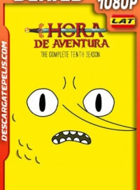 Hora de aventura Temporada 10 (2017) 1080p WEB-DL Latino