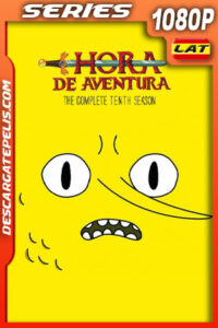 Hora de aventura Temporada 10 (2017) 1080p WEB-DL Latino