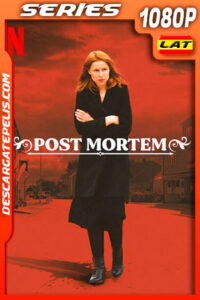 Post mortem: Nadie muere en Skarnes (2021) Temporada 1 1080p WEB-DL Latino