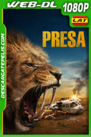Presa (2024) 1080p WEB-DL Latino