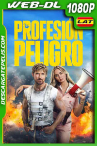 Profesión peligro (2024) 1080p WEB-DL Latino