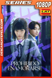 Prohibido enamorarse Temporada 1 (2024) 1080p WEB-DL Latino
