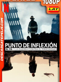 Punto de inflexión: El 11-S y la guerra contra el terrorismo (2021) Temporada 1 1080p WEB-DL Latino