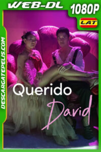 Querido David (2023) 1080p WEB-DL Latino