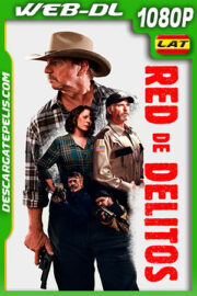 Red de Delitos (2017) 1080p WEB-DL Latino
