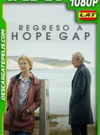 Regreso a Hope Gap (2019) 1080p WEB-DL AMZN Latino