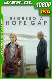 Regreso a Hope Gap (2019) 1080p WEB-DL AMZN Latino