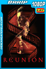 Reunion (2020) 1080p BRRip Latino