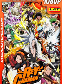 Rey chamán (2021) Temporada 1 1080p WEB-DL Latino