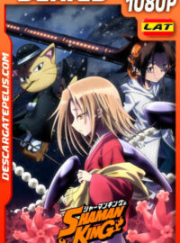 Rey chamán (2021) Temporada 2 1080p WEB-DL Latino