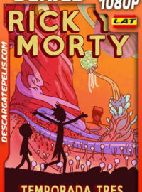 Rick and Morty (2017) Temporada 3 1080p WEB-DL Latino