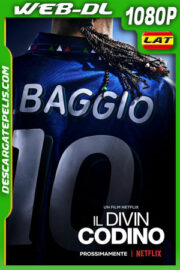 Roberto Baggio: El divino (2021) 1080p WEB-DL Latino