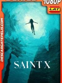 Saint X Temporada 1 (2023) 1080p WEB-DL Latino