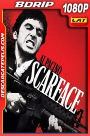 Scarface (1983) 1080p BDrip Latino – Ingles