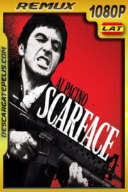 Scarface (1983) 1080p BDRemux Latino – Ingles