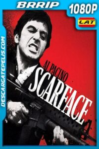 Scarface (1983) 1080p BRrip Latino – Ingles