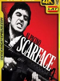 Scarface (1983) 4k BDRemux HDR Latino – Ingles