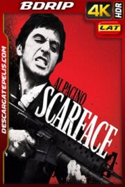 Scarface (1983) 4k BDrip HDR Latino – Ingles