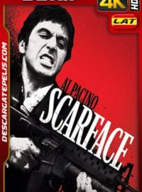 Scarface (1983) 4k BDrip HDR Latino – Ingles