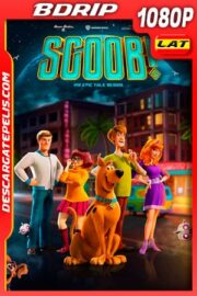Scooby-Doo! (2020) 1080p BDRip Latino – Ingles