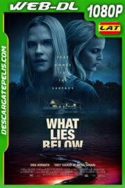 Secreto oscuro (2020) 1080p WEB-DL AMZN Latino