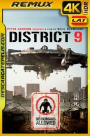 Sector 9 (2009) 4K Remux HDR Latino