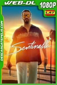 Sentinelle (2023) 1080p WEB-DL Latino