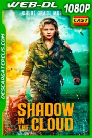 Pasajero oculto (2020) 1080p WEB-DL