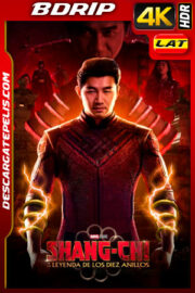 Shang-Chi y la leyenda de los Diez Anillos (2021) 4K BDRip HDR Latino