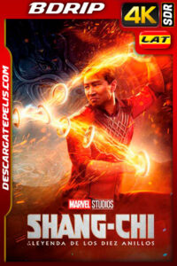 Shang-Chi y la leyenda de los diez anillos (2021) 4k BDrip SDR Latino