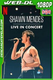 Shawn Mendes: Concierto en vivo (2020) 1080p WEB-DL