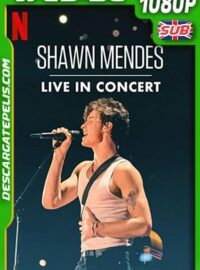 Shawn Mendes: Concierto en vivo (2020) 1080p WEB-DL
