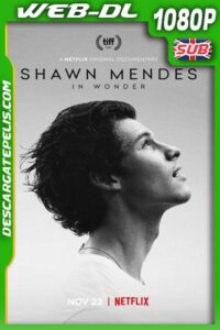 Shawn Mendes: In Wonder (2020) 1080p WEB-DL
