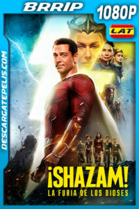 ¡Shazam! La furia de los dioses (2023) 1080p BRRip Latino