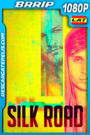 Silk Road (2021) 1080p BRRip Latino