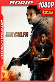 Sin Culpa (2021) 1080p BDrip Latino