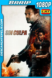 Sin Culpa (2021) 1080p BRrip Latino