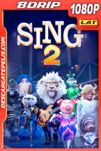 Sing 2: ¡Ven y canta de nuevo! (2021) 1080p BDrip Latino