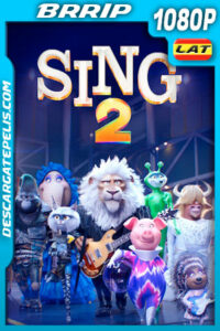 Sing 2: ¡Ven y canta de nuevo! (2021) 1080p BRrip Latino