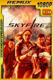 Skyfire (2019) 1080p Remux