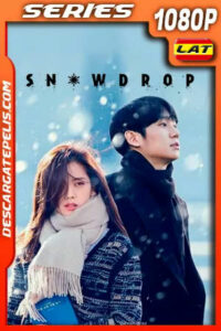 Snowdrop Temporada 1 (2021) 1080p WEB-DL Latino