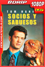 Socios y sabuesos (1989) 1080p BDrip Latino