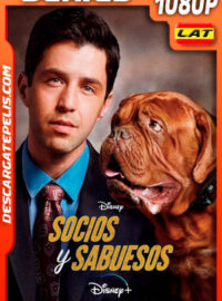 Socios y sabuesos Temporada 1 (2021) 1080p WEB-DL Latino