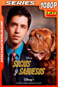 Socios y sabuesos Temporada 1 (2021) 1080p WEB-DL Latino
