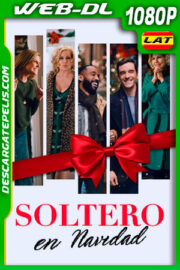 Soltero en Navidad (2021) 1080p WEB-DL Latino