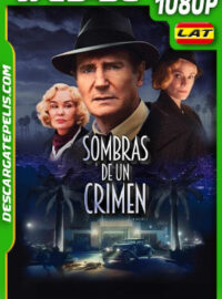 Sombras de un crimen (2022) 1080p WEB-DL Latino