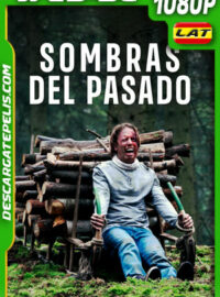 Sombras del pasado (2023) 1080p WEB-DL Latino
