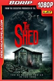 Sombras del terror (2019) 1080p BDrip Latino